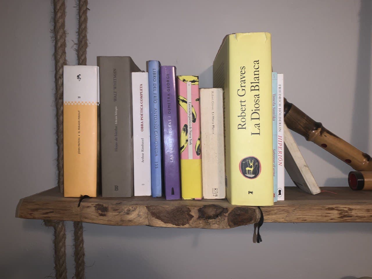 Estanteria amb llibres