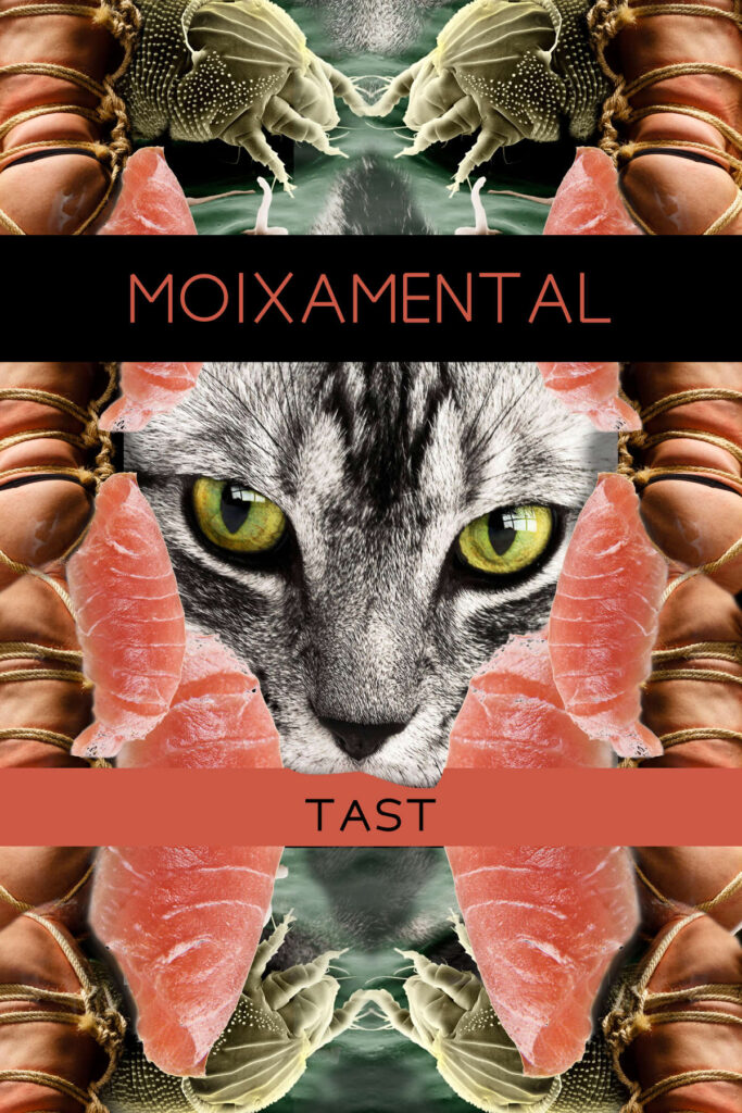 sa portada de lo tast