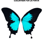 Els racons de la incertesa